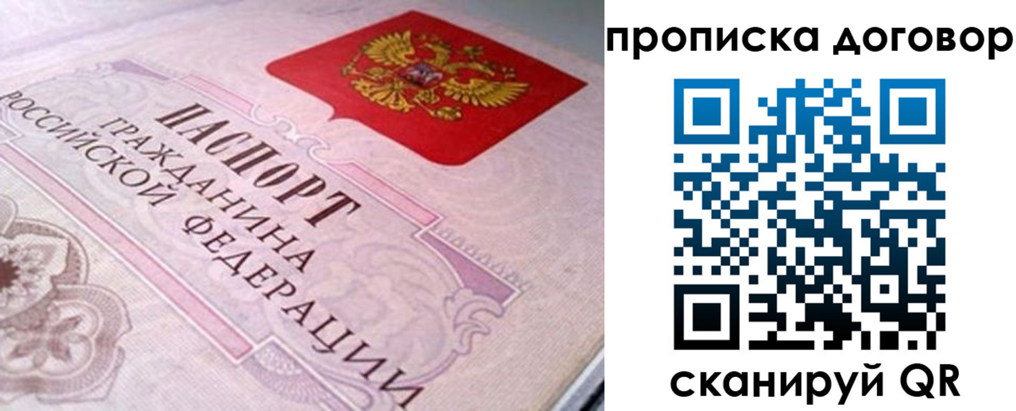 временная регистрация в Оленегорске