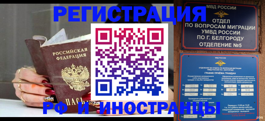 прописка в Оленегорске